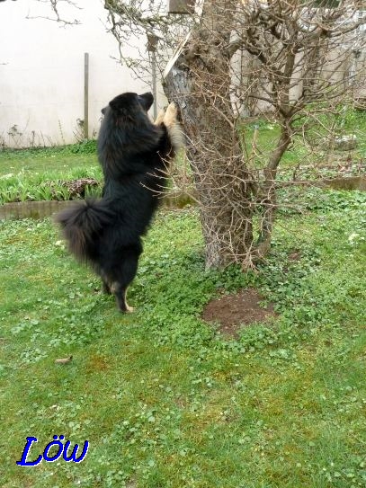 4.4.2021 - Ist da was im Baum?